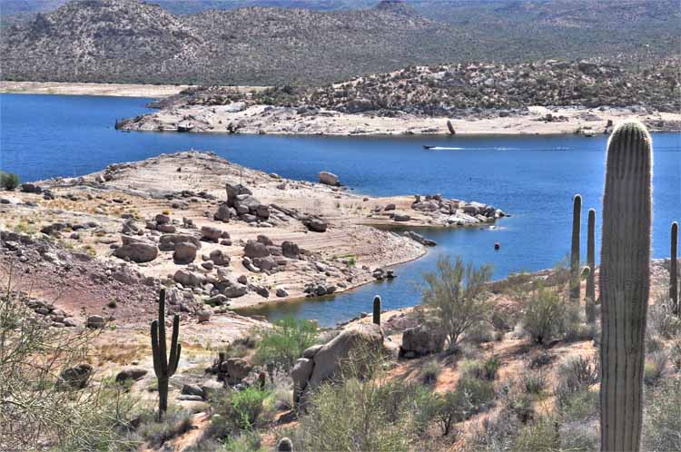 bartlett lake